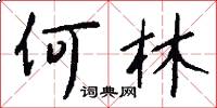 何林怎么写好看