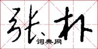 张朴怎么写好看