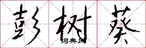 彭树葵怎么写好看
