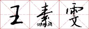 王素雯怎么写好看