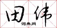 田伟怎么写好看