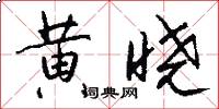 黄晓怎么写好看