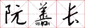 阮善长怎么写好看