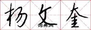 杨文奎怎么写好看