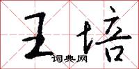 王培怎么写好看