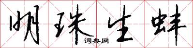 明珠生蚌怎么写好看