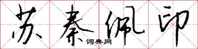 苏秦佩印怎么写好看