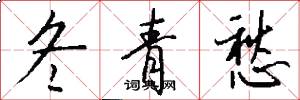 冬青愁怎么写好看