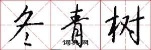 冬青树怎么写好看