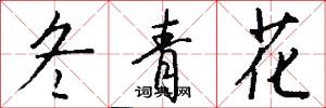 冬青花怎么写好看
