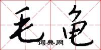 毛龟怎么写好看
