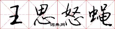王思怒蝇怎么写好看