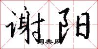 谢阳怎么写好看