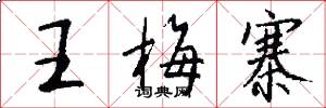 王梅寨怎么写好看