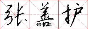 张善护怎么写好看