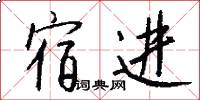 宿进怎么写好看