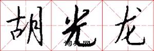胡光龙怎么写好看