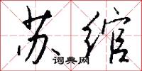 苏绾怎么写好看