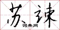 苏竦怎么写好看