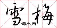 雪梅怎么写好看