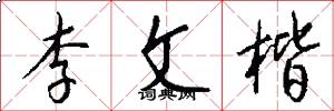 李文楷怎么写好看