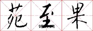 苑至果怎么写好看