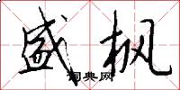 盛枫怎么写好看