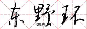 东野环怎么写好看