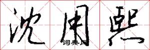 沈用熙怎么写好看