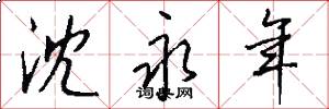 沈永年怎么写好看