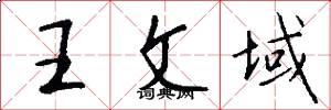 王文域怎么写好看