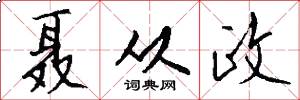 聂从政怎么写好看