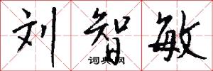 刘智敏怎么写好看