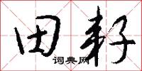 田耔怎么写好看