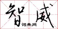 智威怎么写好看