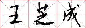 王芝成怎么写好看