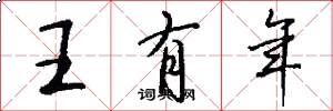 王有年怎么写好看