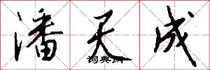 潘天成怎么写好看