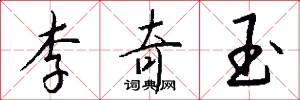 李奇玉怎么写好看