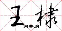 王棣怎么写好看
