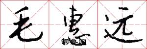 毛惠远怎么写好看