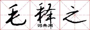 毛释之怎么写好看