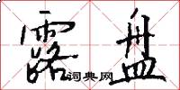 露盘怎么写好看