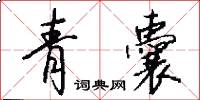 青囊怎么写好看