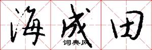 海成田怎么写好看