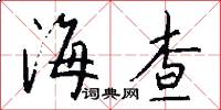 海查怎么写好看