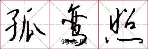 孤鸾照怎么写好看