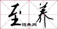 至养怎么写好看