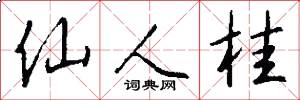 仙人桂怎么写好看