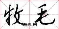收毛怎么写好看